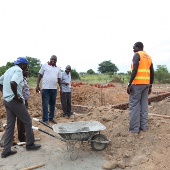 Support HLFOs in development of bulking and collective marketing policies