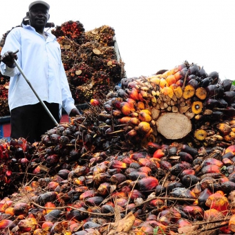 Uca Successfully Completes IFAD Funded VODP2 Assignment