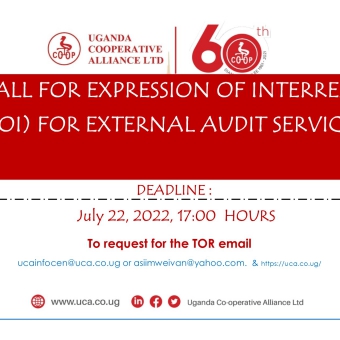 Call for Expression of Interest for Auditors July 2022