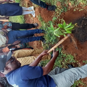 INTERNATIONAL DAY OF COOPERATIVES!! PLANT A TREE AND STAND A CHANCE TO WIN AN AWARD AND BE RECOGNIZED AS AN ENVIRONMENT PROTECTOR